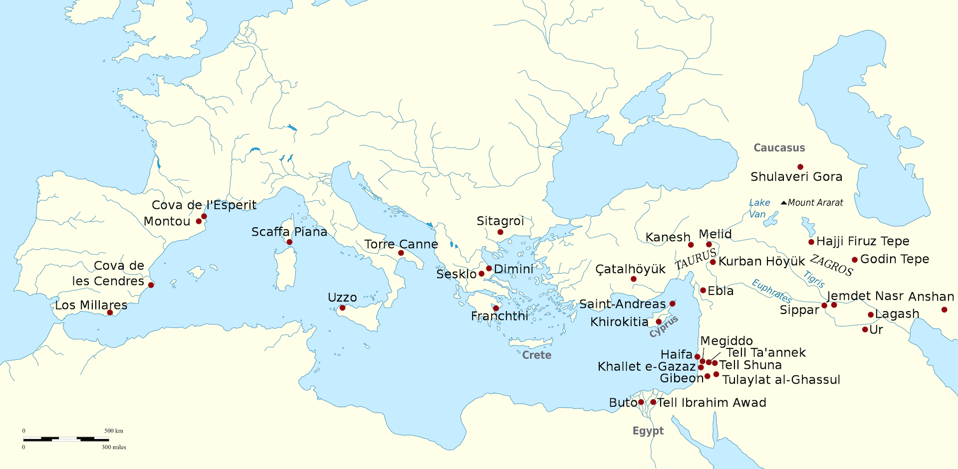 blog-image 1